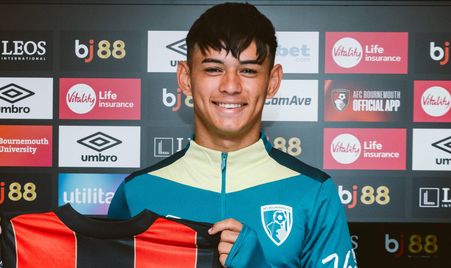 的娱乐效果 的娱乐效果