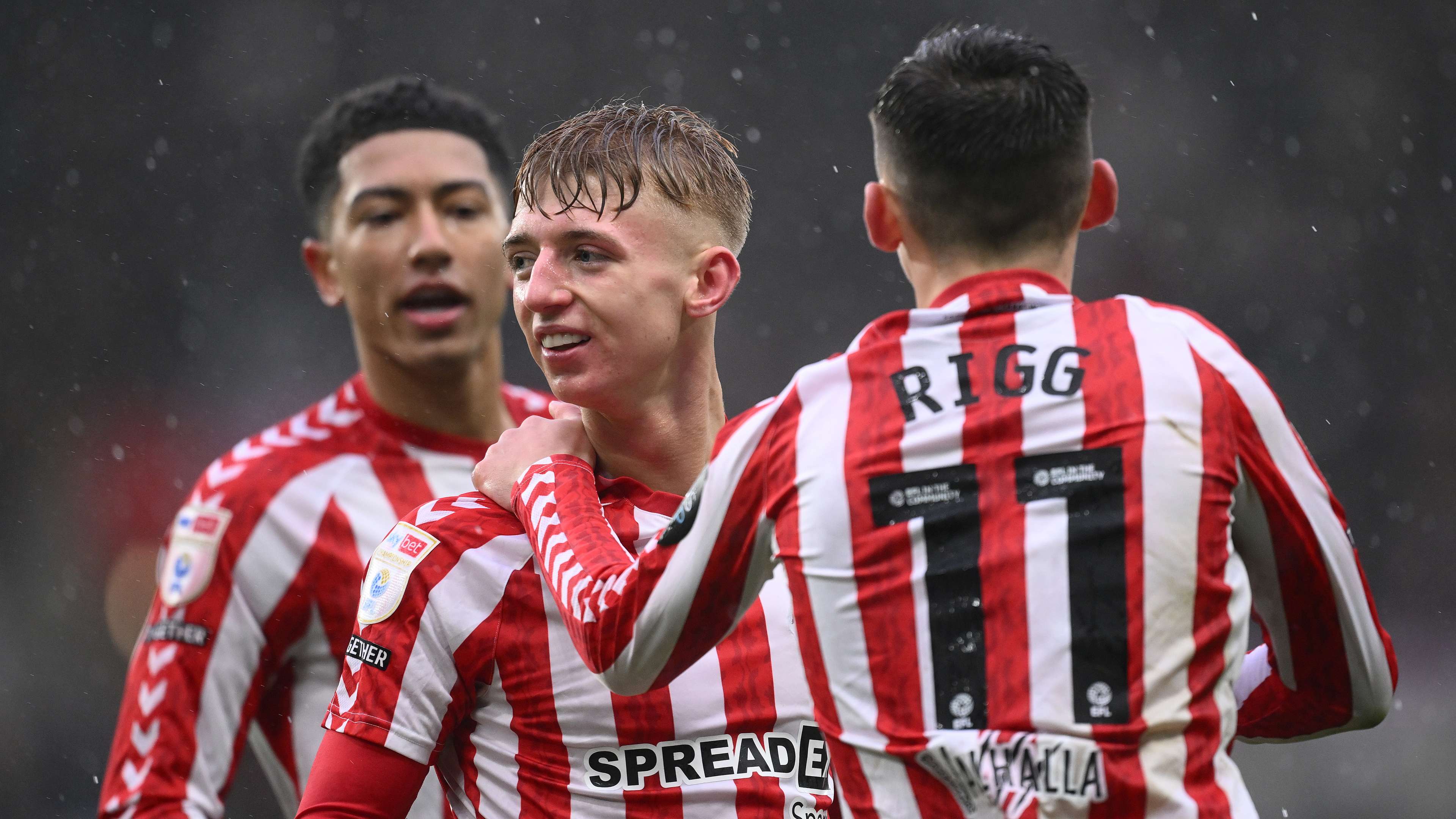 丽君在国内 丽君在国内